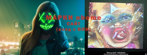 индика Беломорск