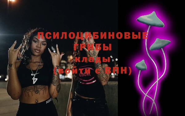 амф Богданович