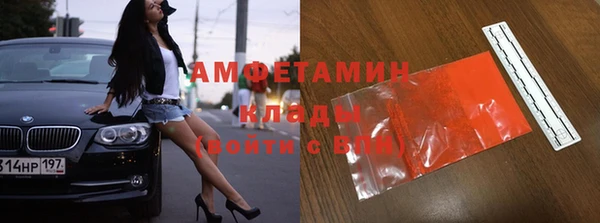 индика Покачи