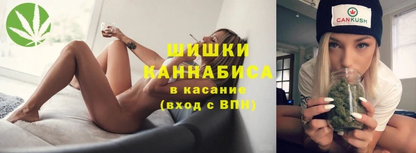 индика Беломорск