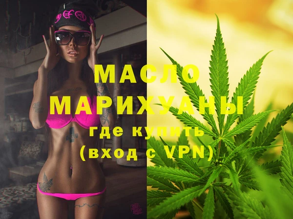 индика Беломорск