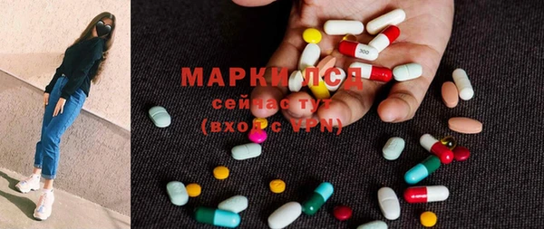 индика Беломорск