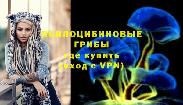 спайс Белокуриха