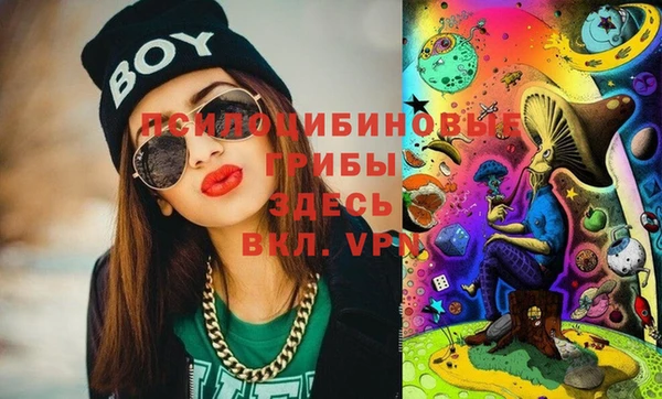 амф Богданович
