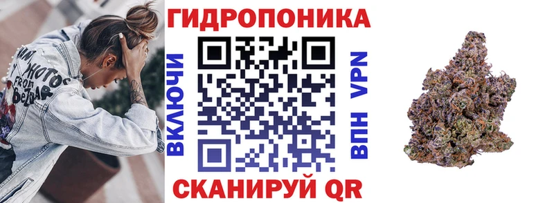 Марихуана планчик  где можно купить   Белорецк 